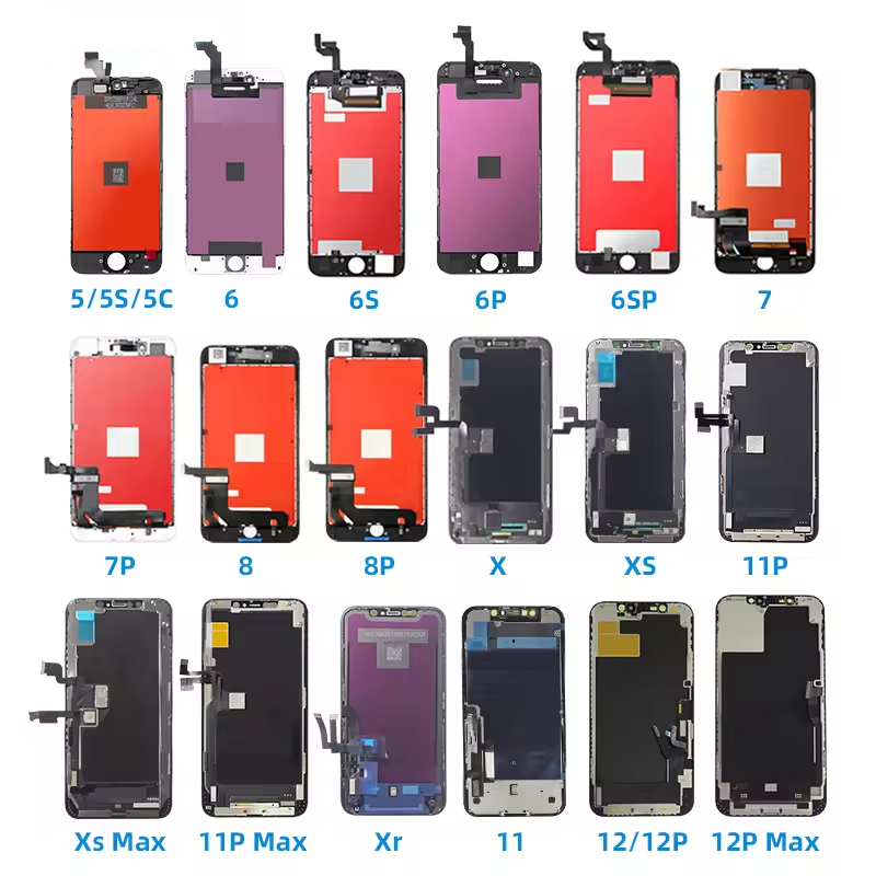 微信图片_20240802174858