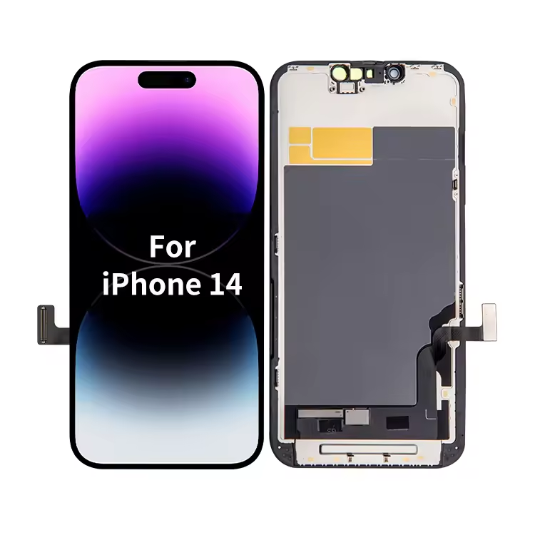 微信图片_20240802181127